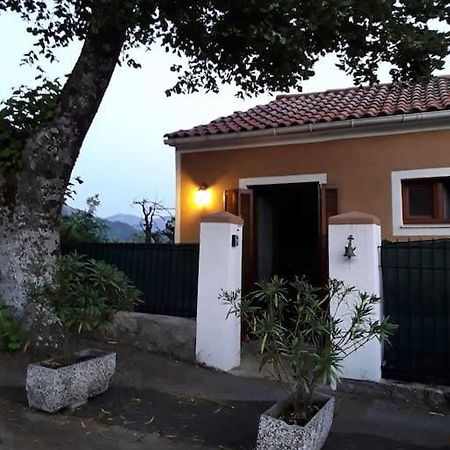 Petit Coin De Paradis Evisa Exteriér fotografie