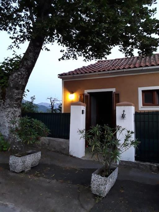 Petit Coin De Paradis Evisa Exteriér fotografie